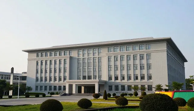 账号代运营如何通过数据提升运营效率
